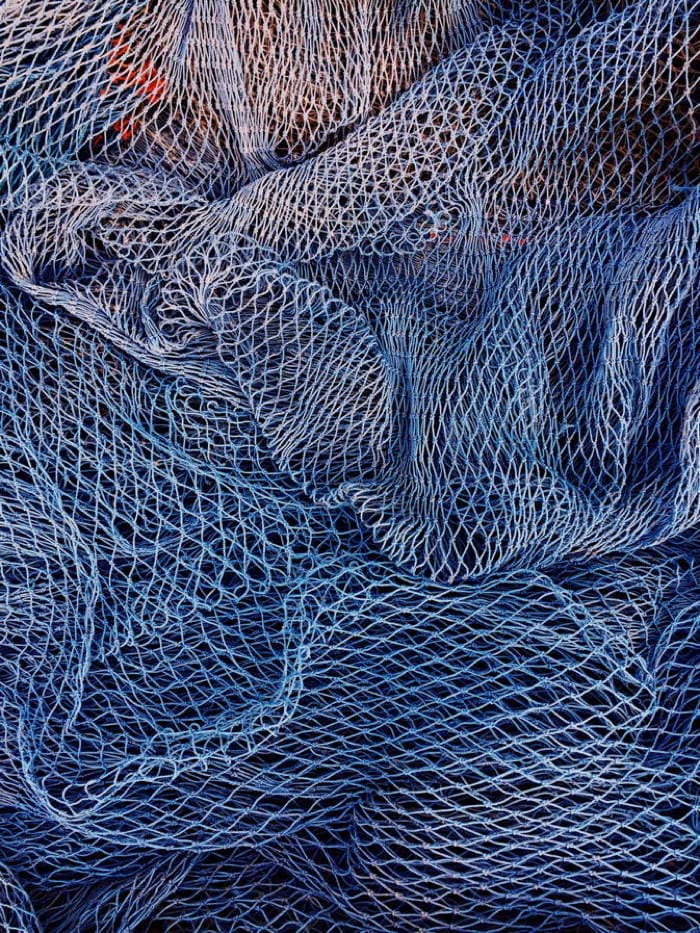 Signification du bleu